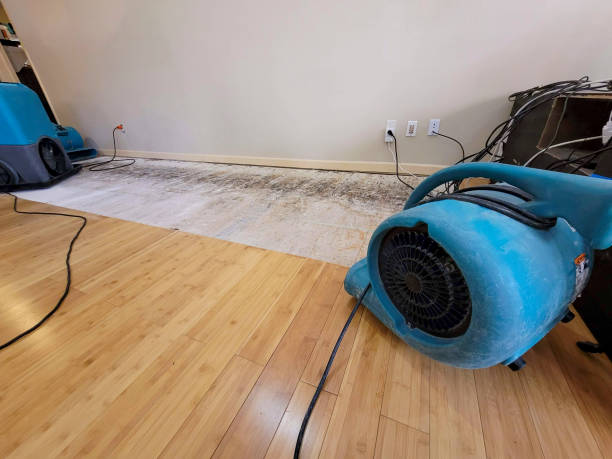 Professional Structural Drying technician working in Stockdale, TX